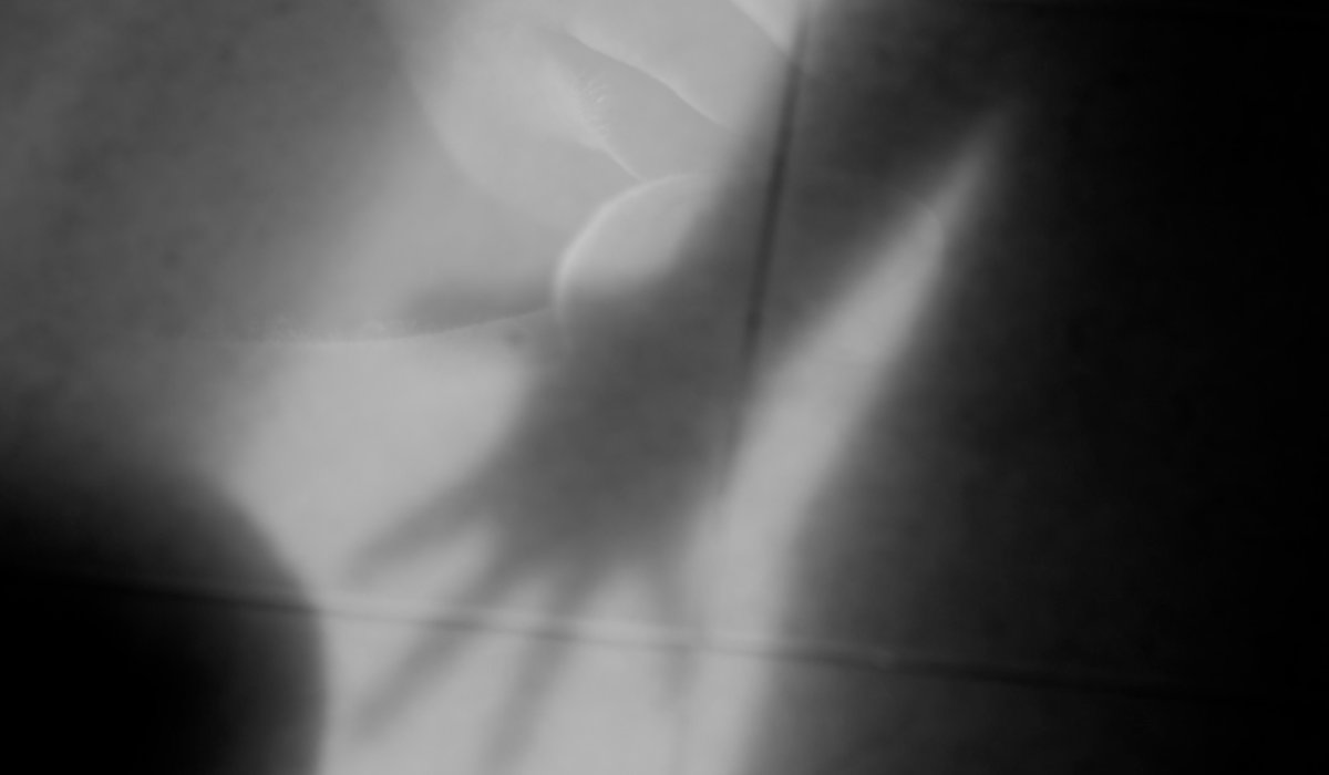Fotograma