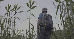 Biodiversitat i cinema al Líban fotograma