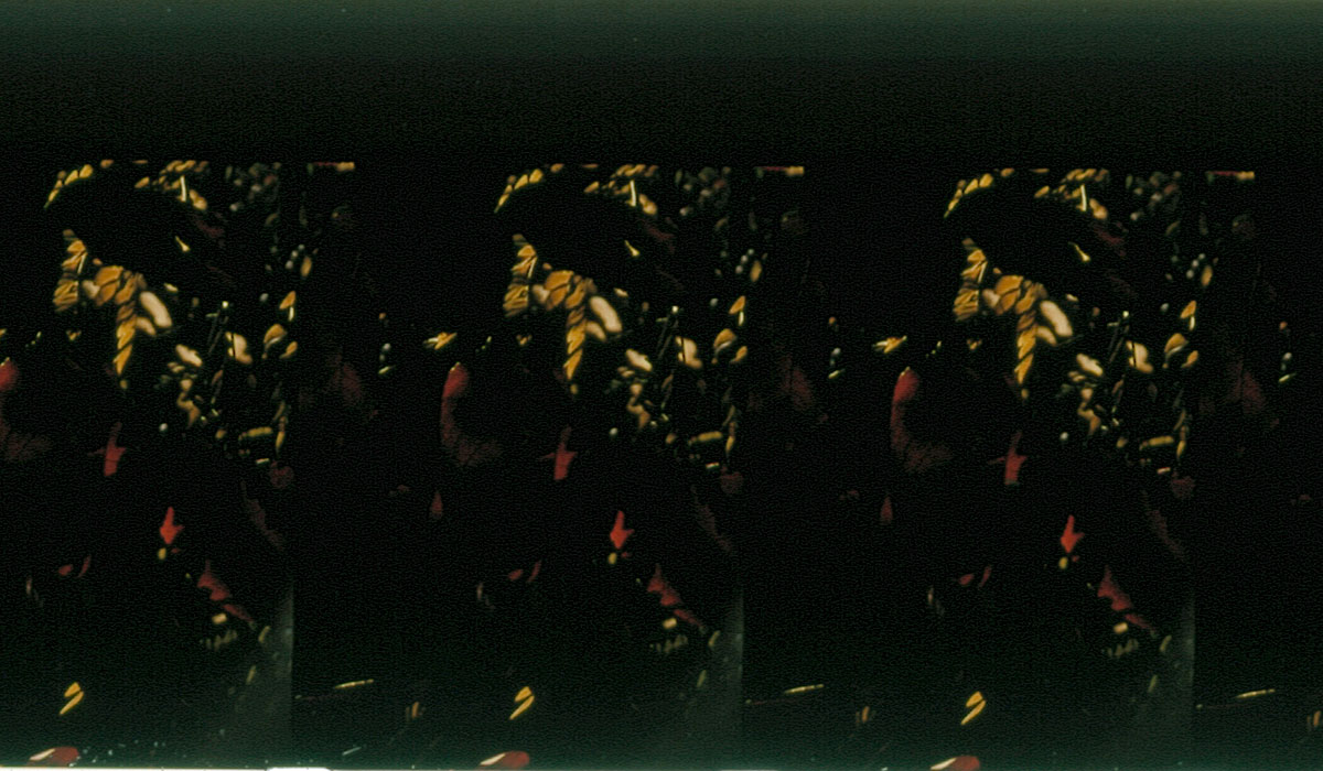 Fotograma