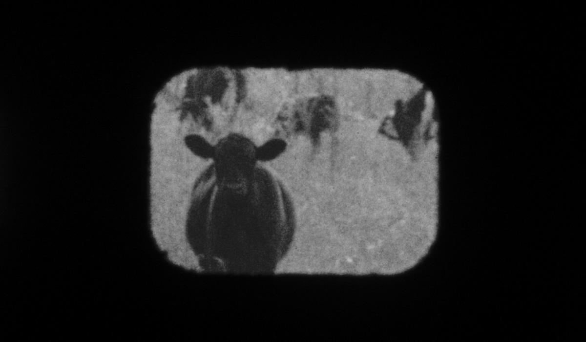 Fotograma